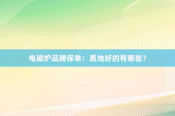 电磁炉品牌保举：质地好的有哪些？